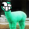 Ugly-Lama-Avatara.jpg